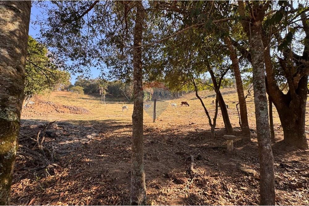 Terreno - Venda - Tuiuti , São Paulo - WhatsApp Image 2025-10-06 at 14.47.27 (10).jpeg - 690041052-114