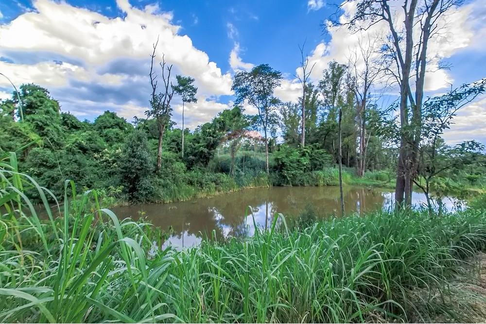 Chácara / Sítio / Fazenda - Venda - Araras , São Paulo - Tratada-57.jpg - 690691016-236