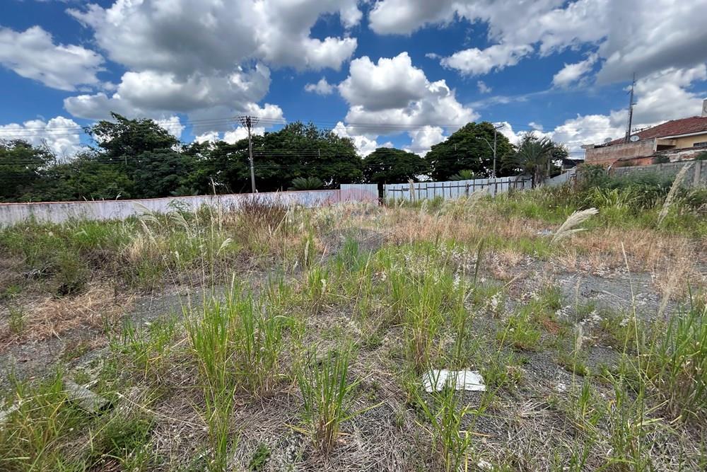 Terreno - Venda - Nova Odessa , São Paulo - IMG_3086.JPG - 690641010-580