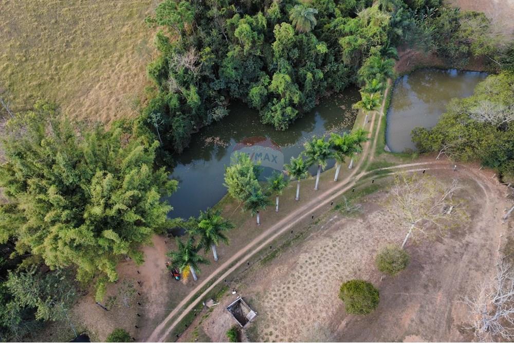 Chácara / Sítio / Fazenda - Venda - Itapira , São Paulo - dji_fly_20250902_164234_426_1756842257746_photo_optimized.jpg - 690521005-184