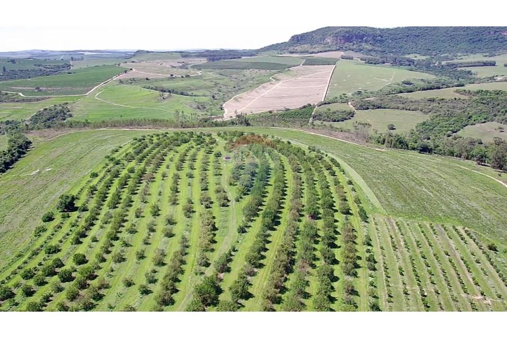Fazenda - Venda - Analândia , São Paulo - f820b919-98df-4e0f-aab8-4378d42e996f.jpg - 690691016-305