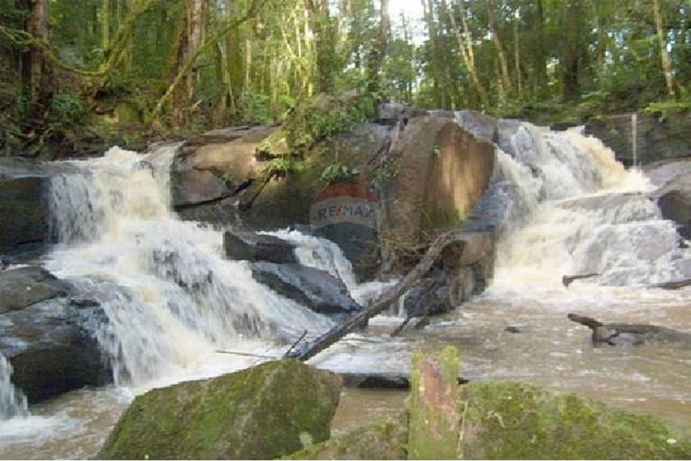 Terreno - Venda - Pinhalzinho , São Paulo - 1441198200.jpg - 690041052-108