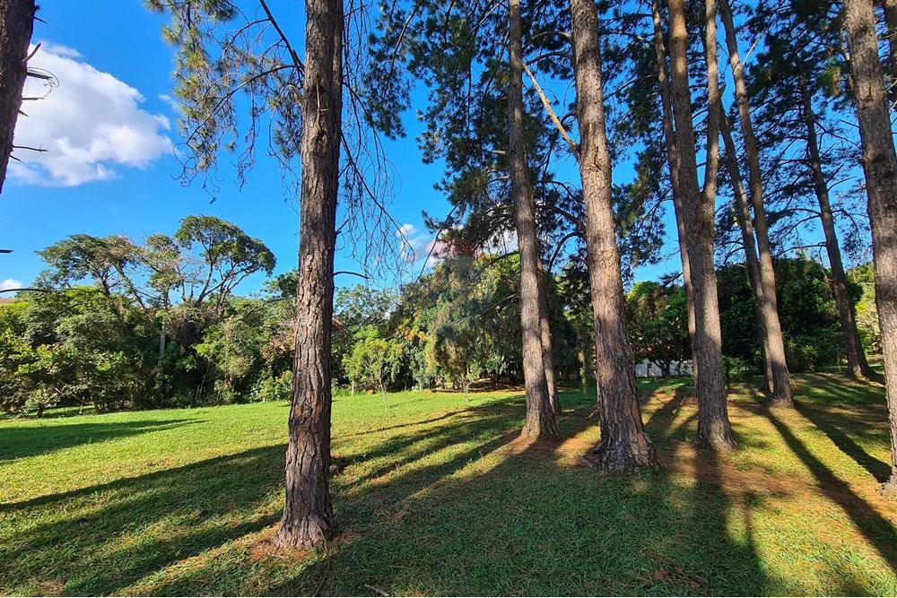 Chácara / Sítio / Fazenda - Venda - Bragança Paulista , São Paulo - 20250321_160636.jpg - 690041041-37