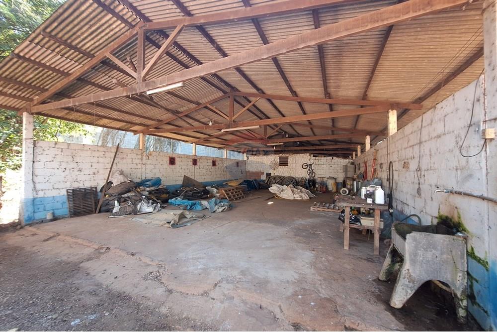 Chácara / Sítio / Fazenda - Venda - Conchal , São Paulo - 20250617_134732.jpg - 690751019-291