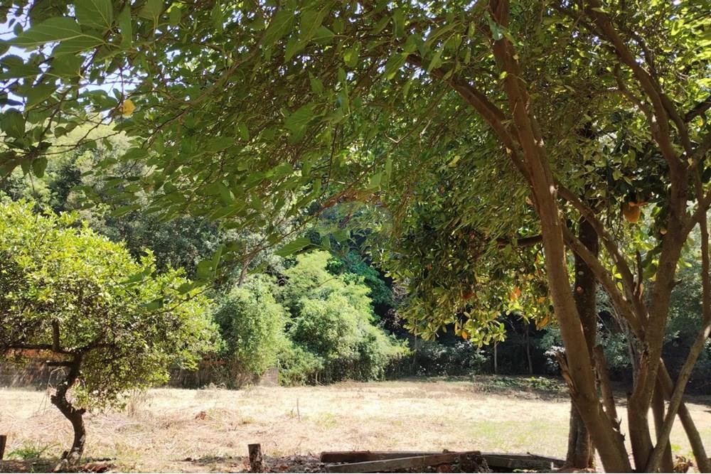 Terreno - Venda - Vinhedo , São Paulo - e541217c-f78a-454e-956e-6e77b0cf433b.jpg - 690851008-487