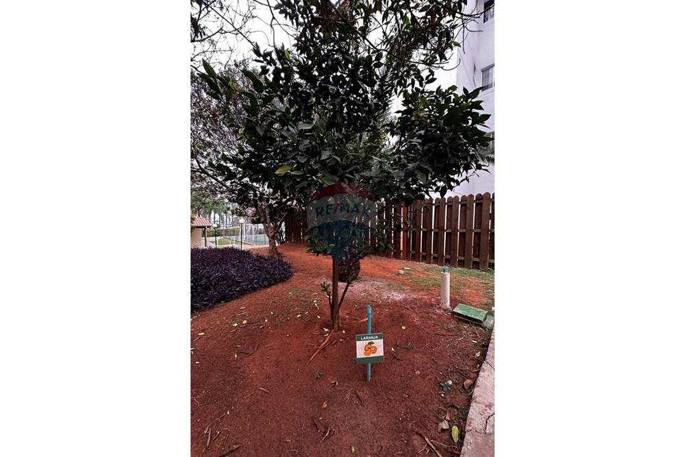 Apartamento - Venda - Limeira , São Paulo - IMG_1262.JPG - 690741007-97