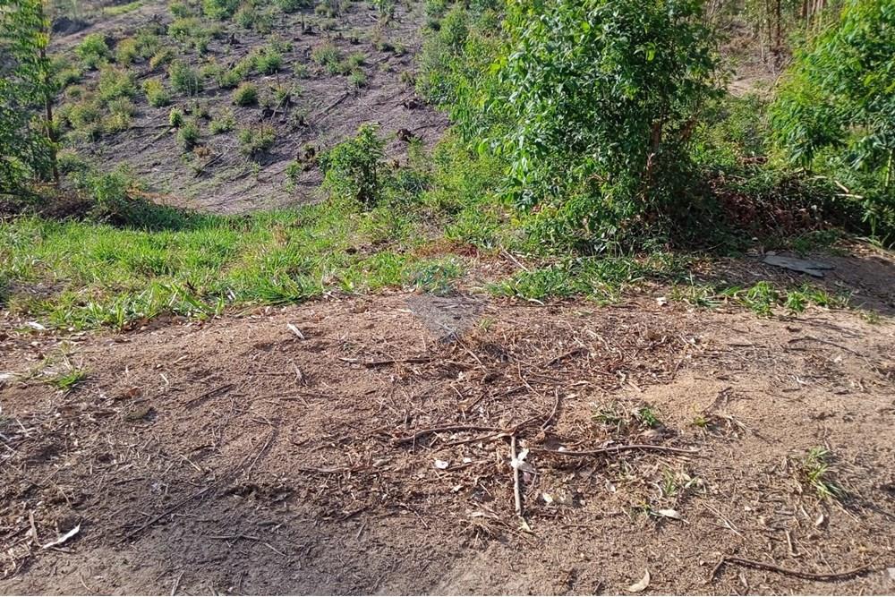 Terreno - Venda - Socorro , São Paulo - lucas2.jpeg - 690041008-23