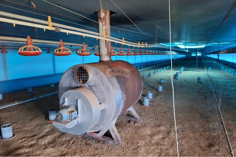 Chácara / Sítio / Fazenda - Venda - Itapira , São Paulo - 20250626_103503.jpg - 690751048-290