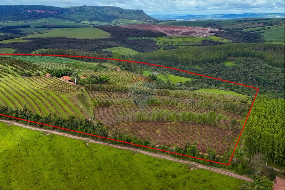 Fazenda - Venda - Analândia , São Paulo - Tratada - Drone-4.jpg - 690691016-305