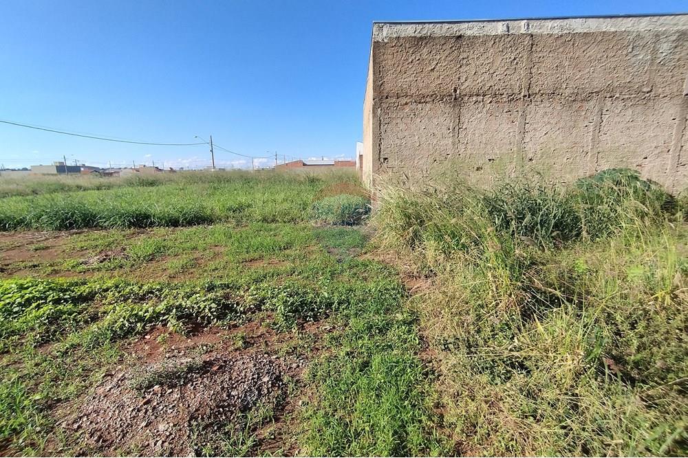 Terreno - Venda - Mogi Guaçu , São Paulo - IMG_20250430_153425.jpg - 690521005-80
