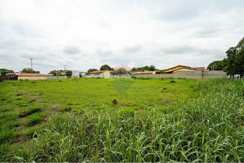 Terreno - Venda - Campinas , São Paulo - 1 (21).jpg - 691181018-45