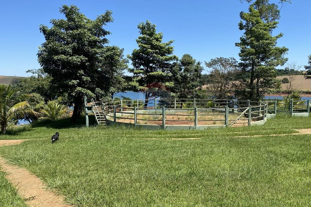 Fazenda - Venda - Piraju , São Paulo - IMG_7326.jpg - 690061038-29