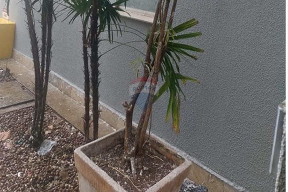 Apartamento - Venda - Araraquara , São Paulo - WhatsApp Image 2025-11-25 at 18.45.33.jpeg - 690151098-1