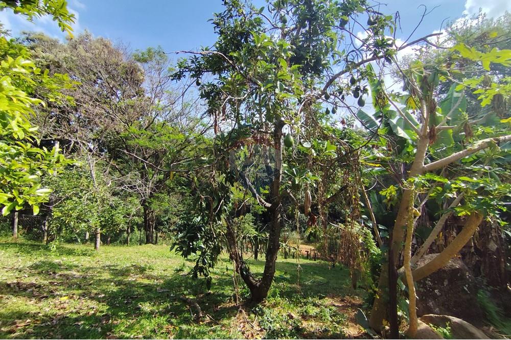 Chácara / Sítio / Fazenda - Venda - Itapira , São Paulo - 1751510168896.jpg - 690291085-364