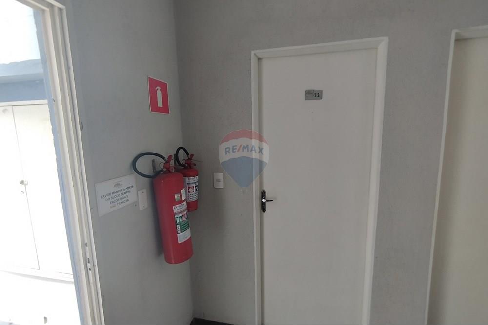 Apartamento - Alugar - Mogi Guaçu , São Paulo - IMG_20251125_124926.jpg - Saguão - 690521005-149