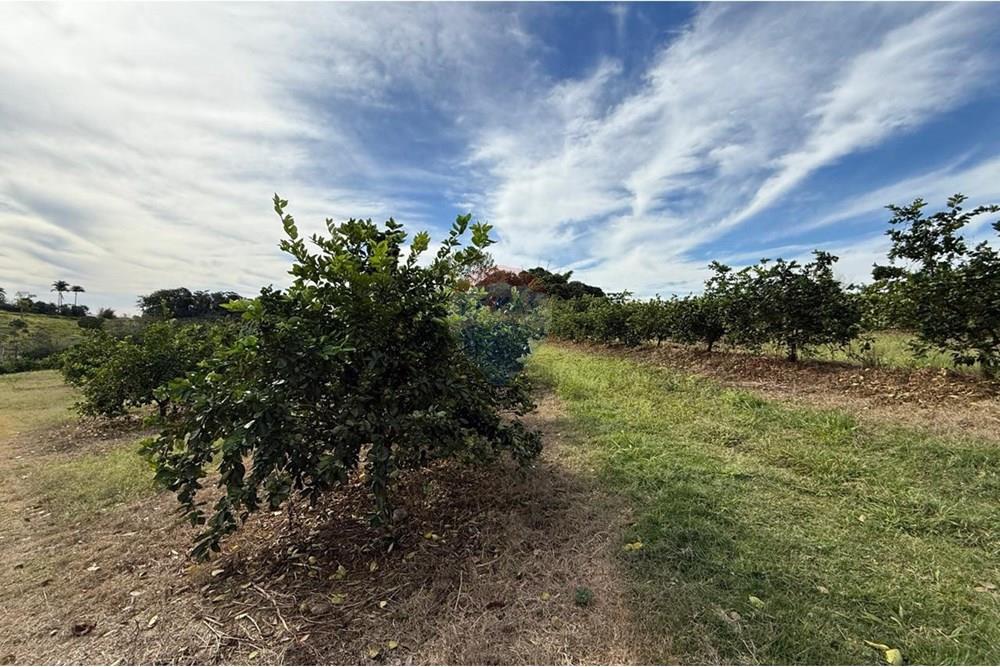 Chácara / Sítio / Fazenda - Venda - Itapira , São Paulo - WhatsApp Image 2025-07-07 at 10.48.35.jpeg - 690521014-143