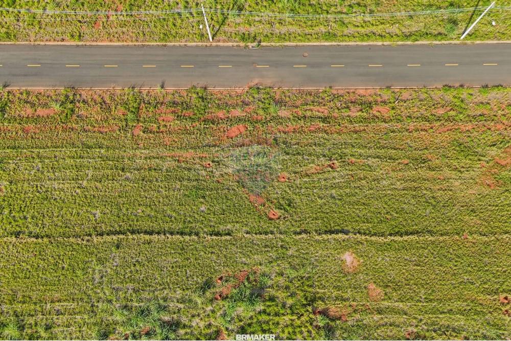 Terreno - Venda - Paulínia , São Paulo - FOTOS IMOBILIARIAS - BRMAKER - terreno alexia vanessa-33.jpg - 690681019-991