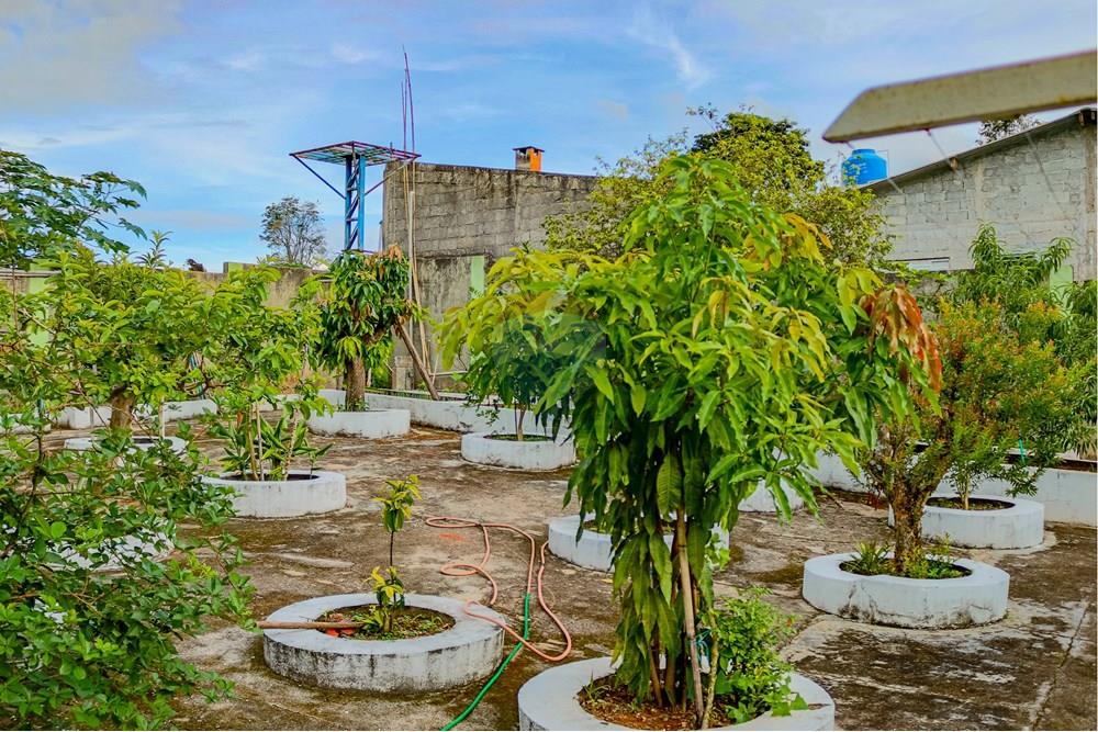 Casa - Venda - Atibaia , São Paulo - RINF-29.jpg - 690921096-6