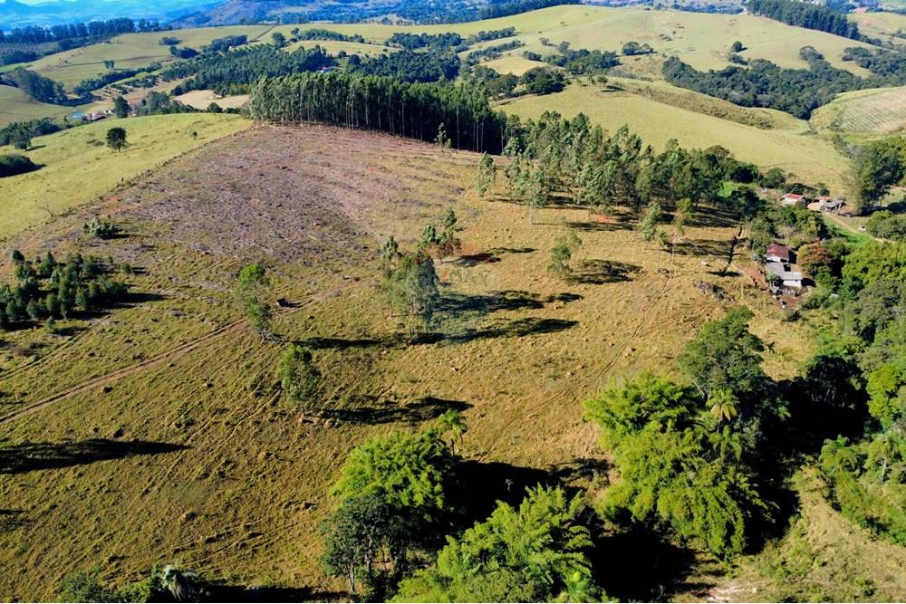 Chácara / Sítio / Fazenda - Venda - Socorro , São Paulo - dji_fly_20250617_095128_218_1750164697666_photo_optimized.jpg - 690291056-39