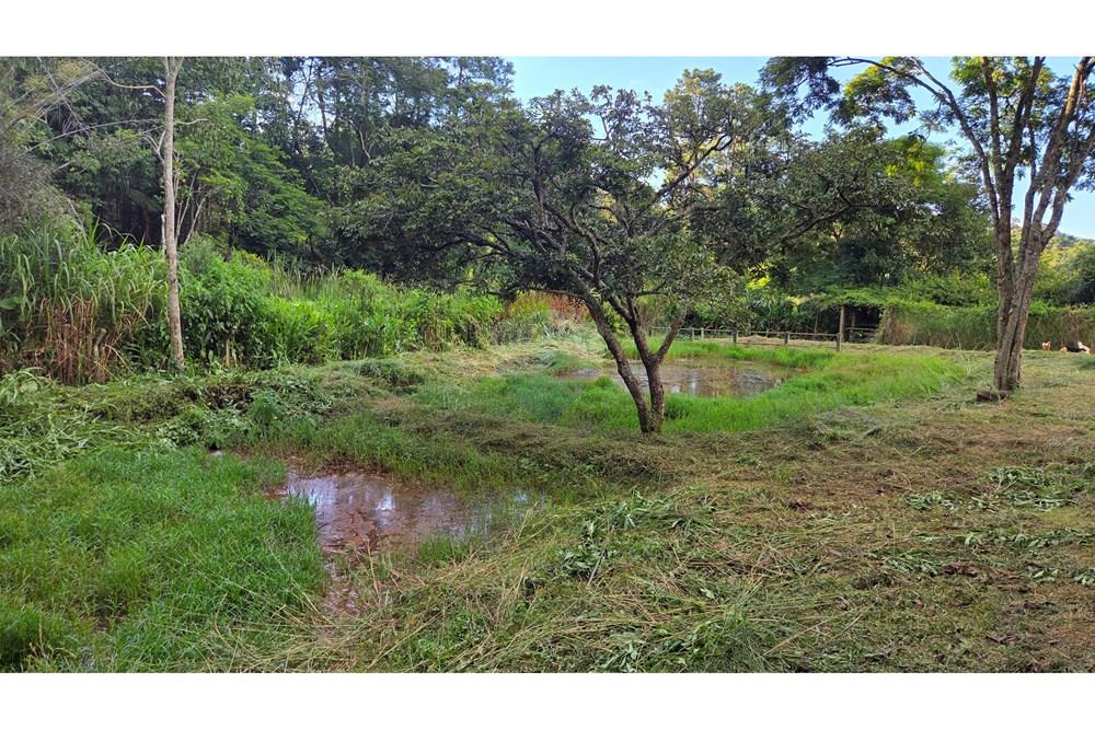 Chácara / Sítio / Fazenda - Venda - Santana de Parnaíba , São Paulo - 20260314_164732.jpg - 690951041-67