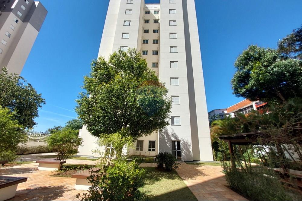 Apartamento - Venda - Campinas , São Paulo - 20250927_094348.jpg - 690181001-433