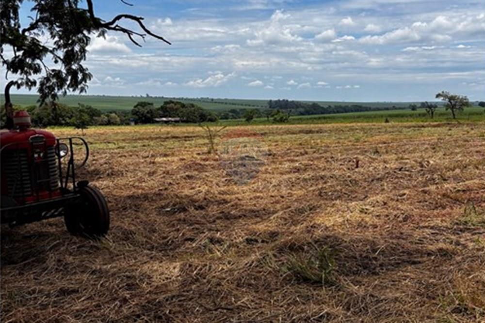 Agro - Venda - Araraquara , São Paulo - 20_Drone Sto Antonio do Lageado - 26.jpeg - 690151012-120