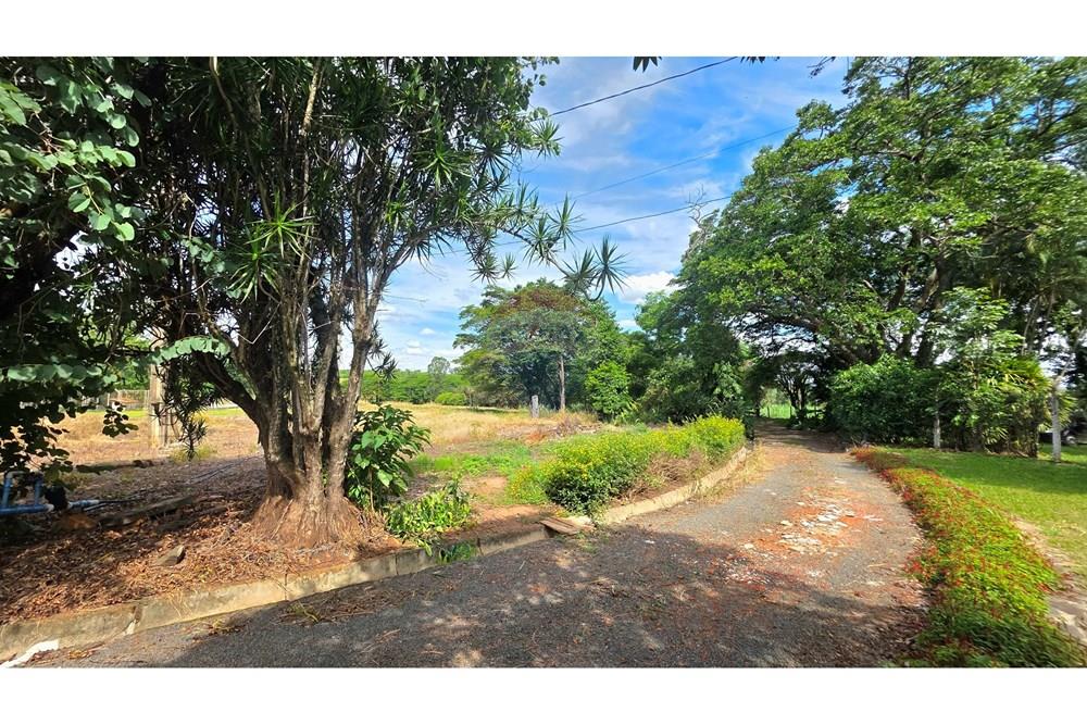 Chácara / Sítio / Fazenda - Venda - Mogi Mirim , São Paulo - 20251211_145157.jpg - 690751019-444