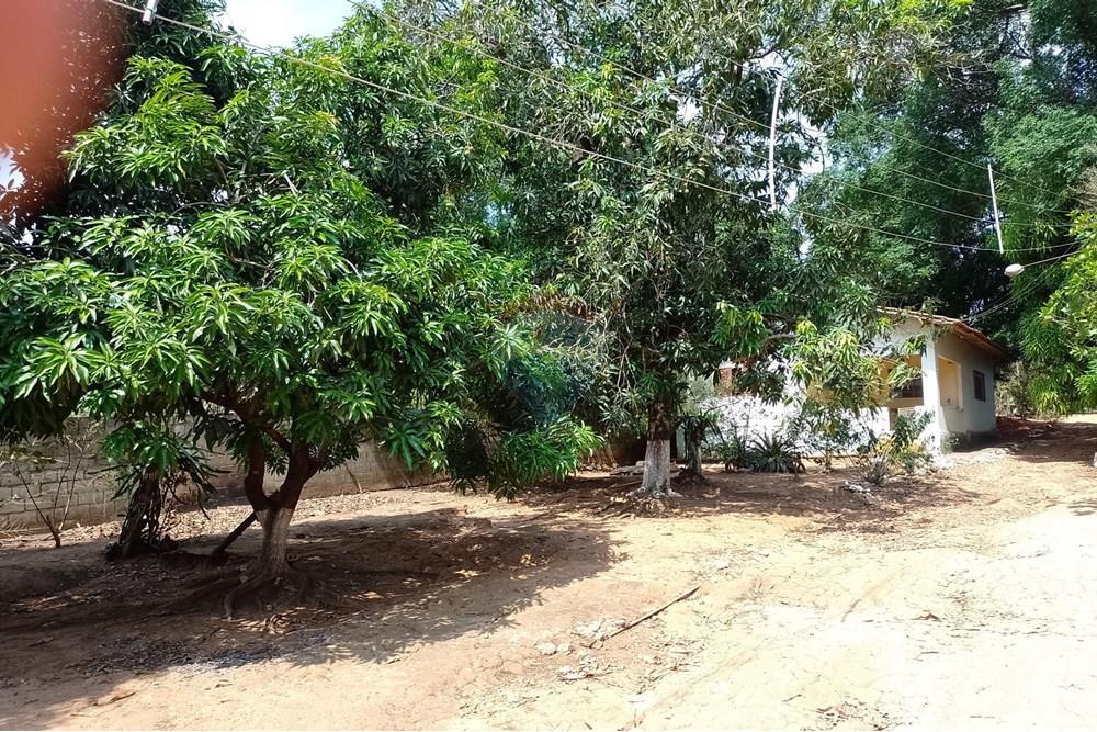 Terreno - Venda - Cosmópolis , São Paulo - fachada (19).jpg - Jardim Interno - 690511357-364