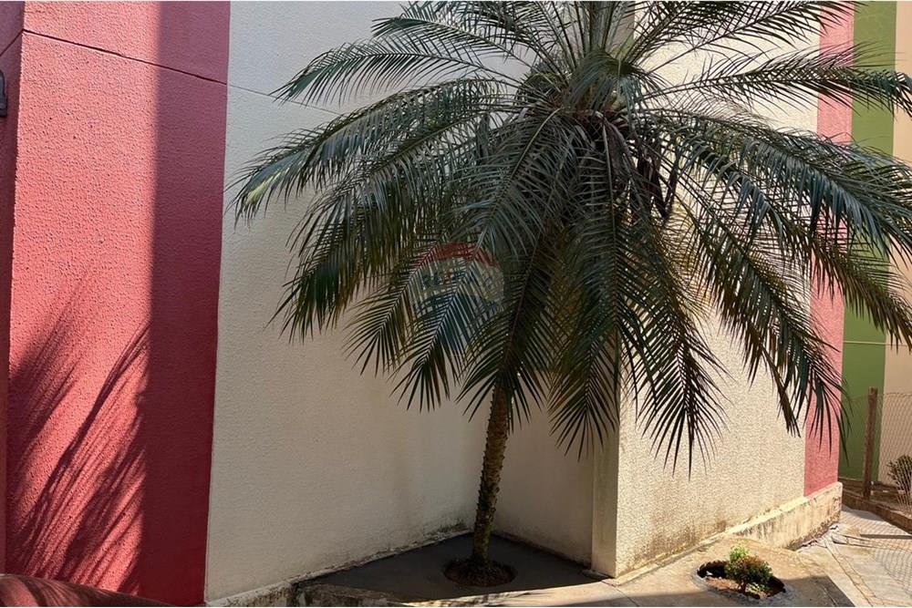 Apartamento - Venda - Valinhos , São Paulo - WhatsApp Image 2025-10-17 at 11.34.59.jpeg - 691181010-4