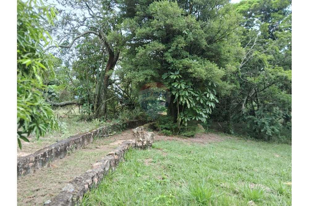 Chácara / Sítio / Fazenda - Venda - Valinhos , São Paulo - foto 20.jpg - 690851076-164