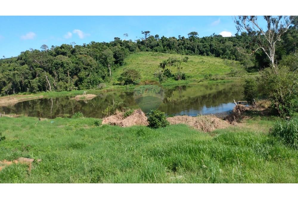 Fazenda - Venda - Campestre , Minas Gerais - 978c2dd1-3a53-498e-9ecf-f8982ae24f6f.jpg - 690291077-293