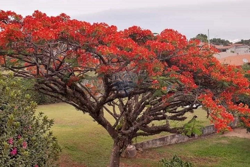 Chácara / Sítio / Fazenda - Venda - Itupeva , São Paulo - 164722eb-7f05-47c5-bb7c-9efd911a1158 (1).jpg - 690801068-16