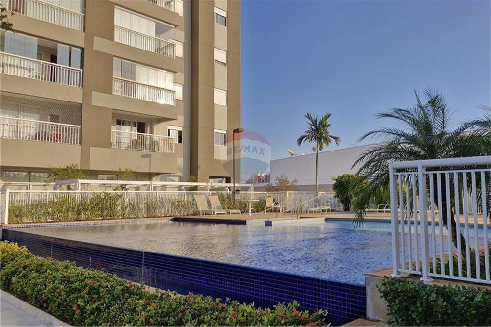 Apartamento - Venda - Campinas , São Paulo - Piscina Condomínio - 690211035-46