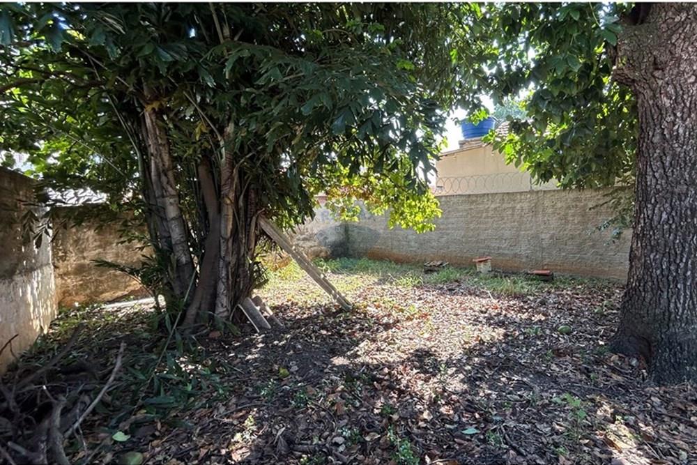 Terreno - Venda - Americana , São Paulo - IMG_8338.jpg - 690641010-528