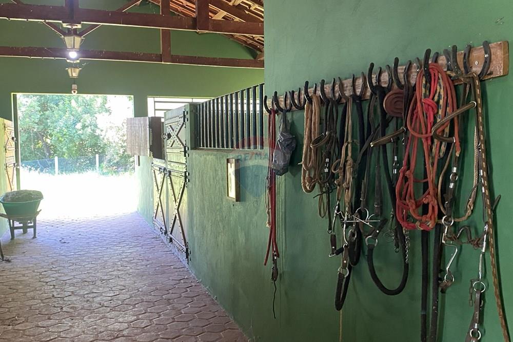 Fazenda - Venda - Piraju , São Paulo - IMG_7331 - Copia - Copia - Copia.jpg - 690061038-29