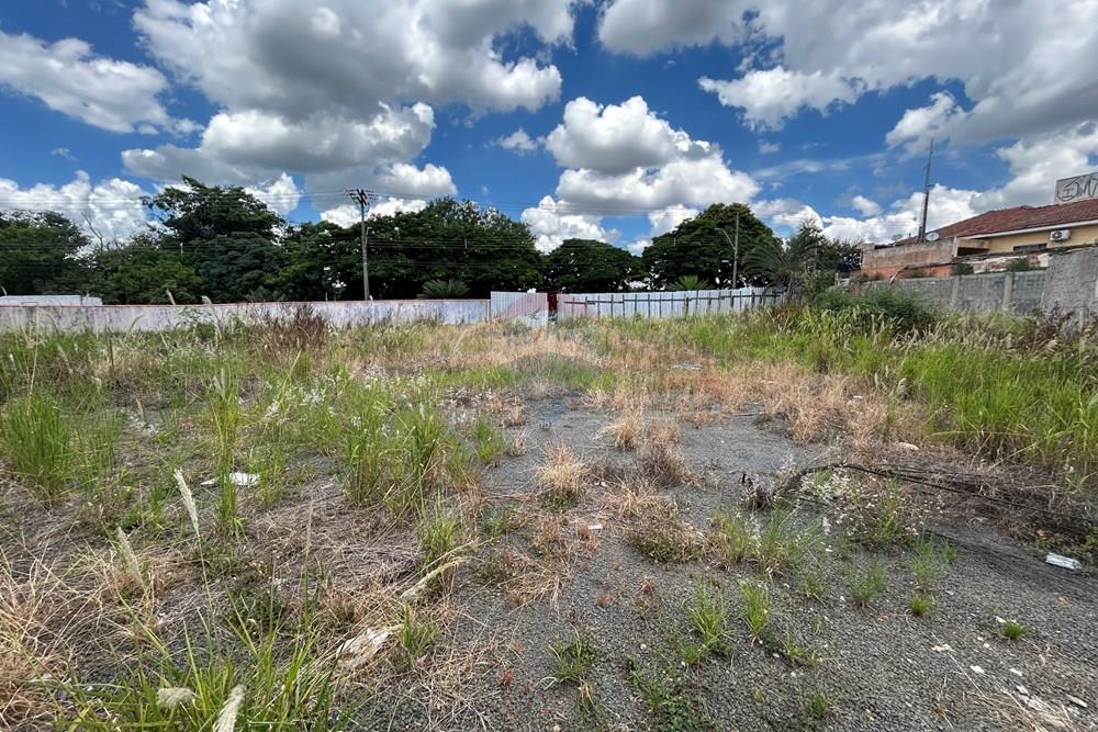 Terreno - Venda - Nova Odessa , São Paulo - IMG_3081.JPG - 690641010-580