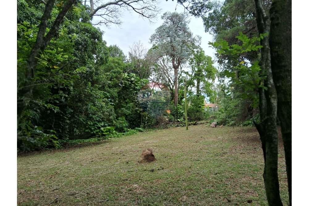 Chácara / Sítio / Fazenda - Venda - Valinhos , São Paulo - foto 11.jpg - 690851076-164