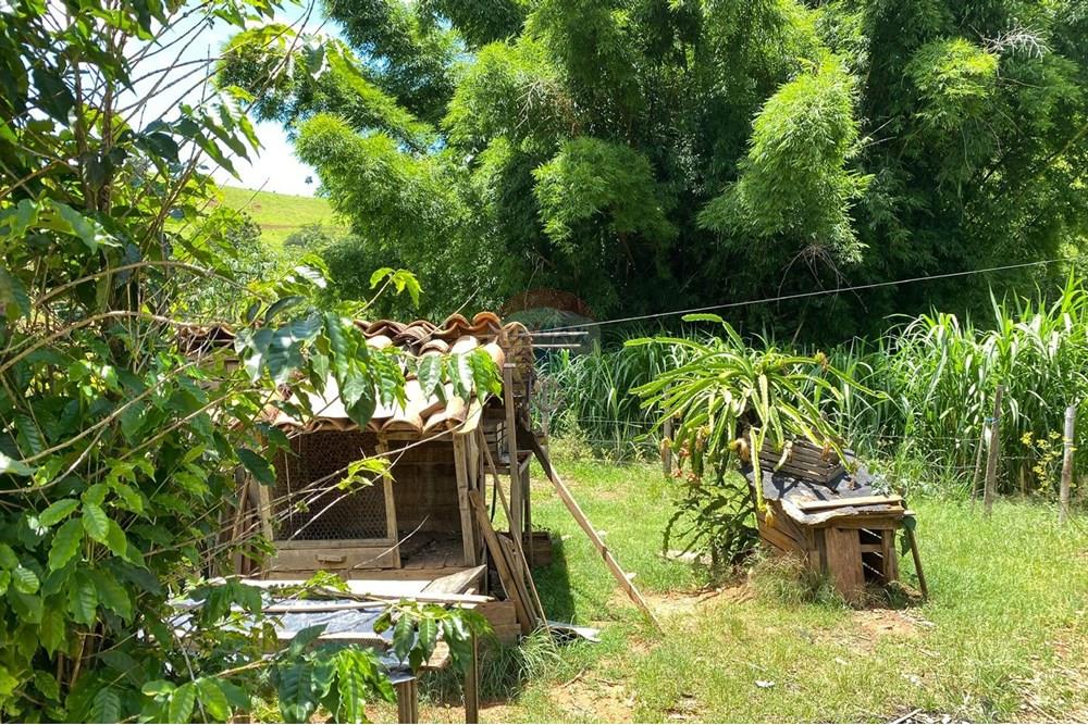 Chácara / Sítio / Fazenda - Venda - Lindóia , São Paulo - Imagem do WhatsApp de 2025-02-25 à(s) 19.33.43_58e5a0e8.jpg - 690291077-296