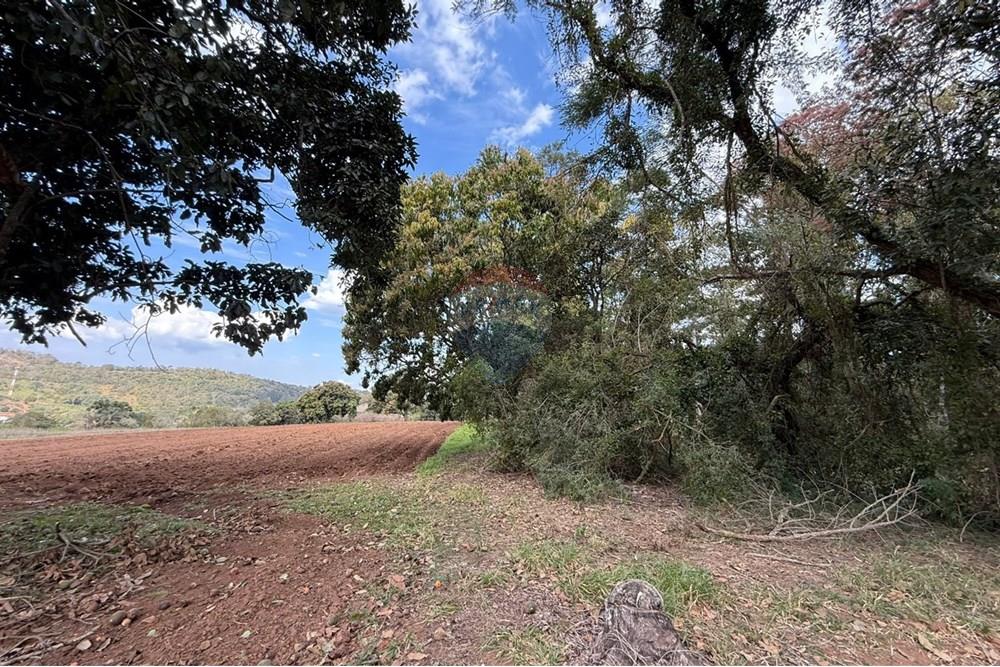 Terreno - Venda - Bragança Paulista , São Paulo - WhatsApp Image 2025-08-25 at 15.25.15 (2).jpeg - 690041010-105