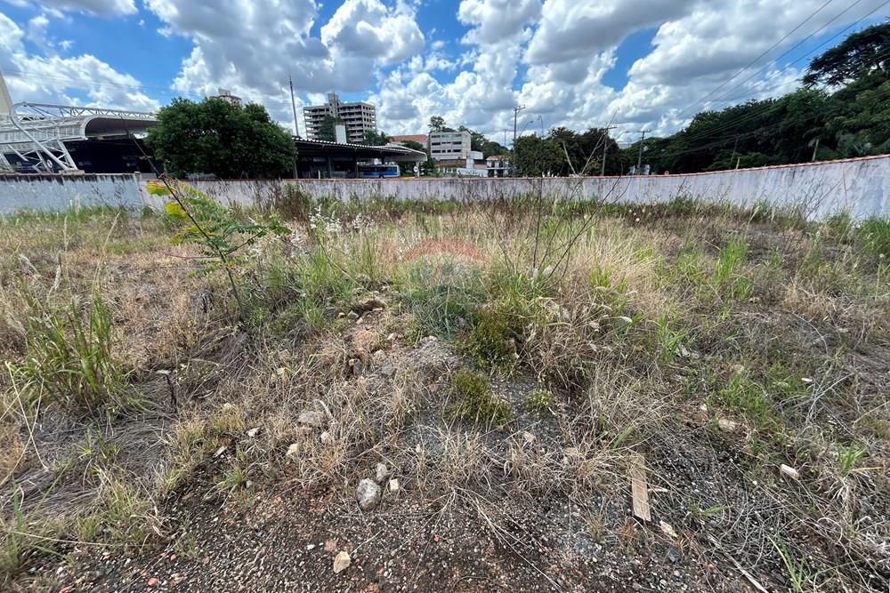 Terreno - Venda - Nova Odessa , São Paulo - IMG_3076.JPG - 690641010-580