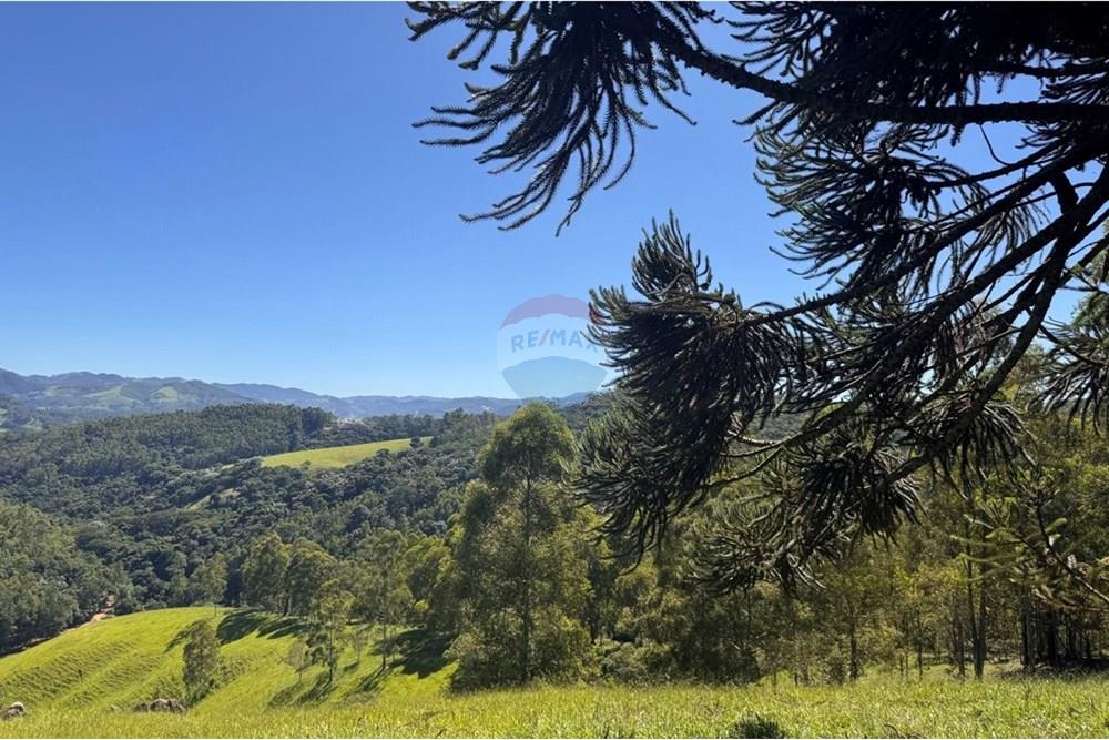 Chácara / Sítio / Fazenda - Venda - Joanópolis , São Paulo - photo_5019343269280201166_y.jpg - 690041001-120