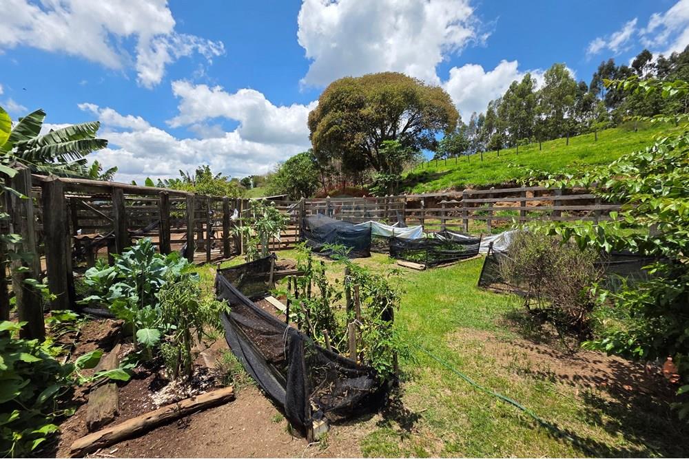 Chácara / Sítio / Fazenda - Venda - Pedra Bela , São Paulo - 20251111_121339.jpg - 690041041-48