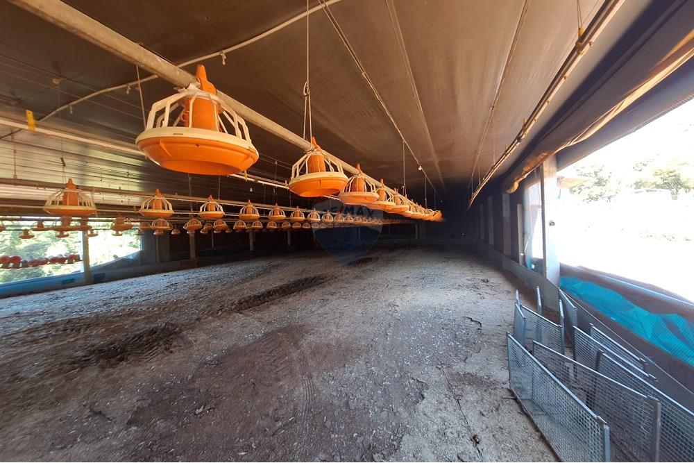 Chácara / Sítio / Fazenda - Venda - Conchal , São Paulo - 20250617_140141.jpg - 690751019-291