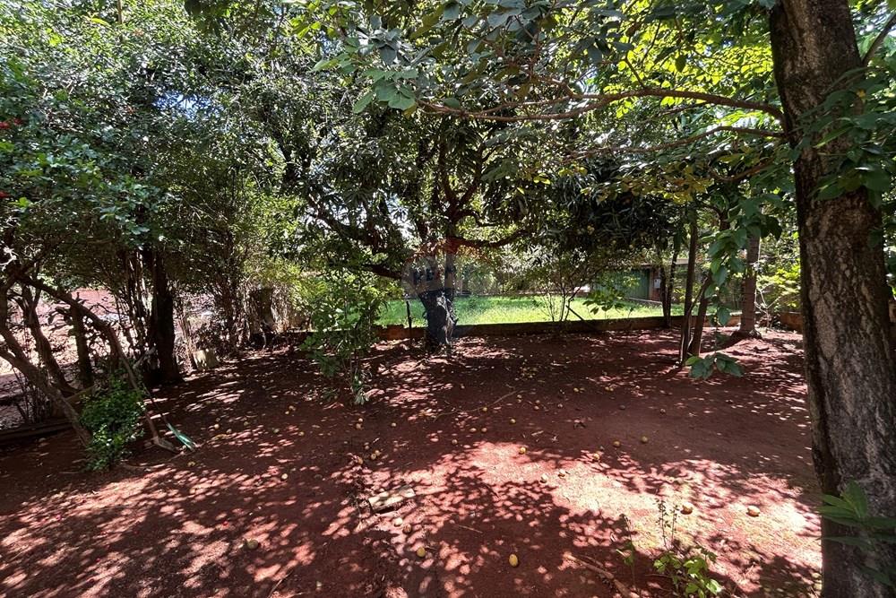 Chácara / Sítio / Fazenda - Venda - Nova Odessa , São Paulo - IMG_2813.JPG - 690641010-577