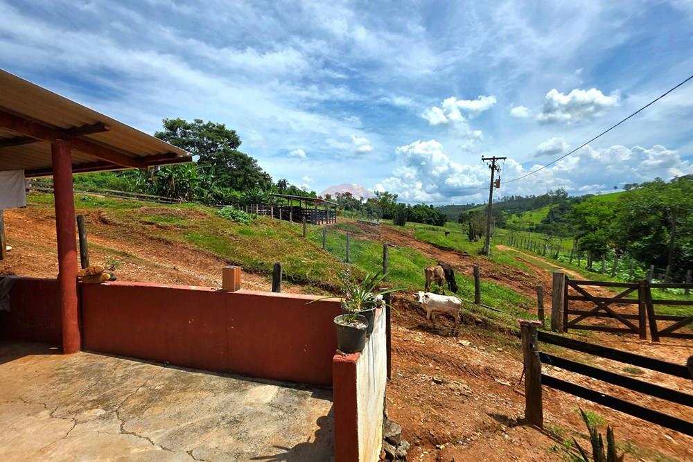 Chácara / Sítio / Fazenda - Venda - Itapira , São Paulo - 20260214_105555.jpg - 690291072-26