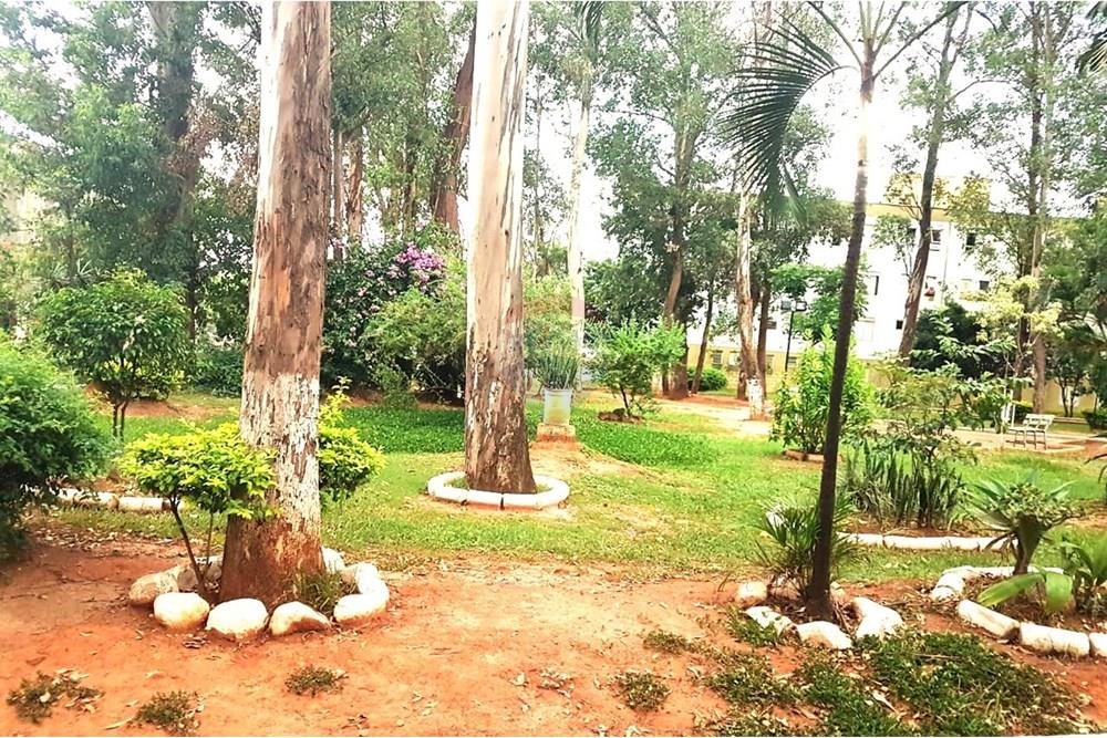 Apartamento - Venda - Campinas , São Paulo - WhatsApp Image 2020-08-12 at 09.23.50 (7)a.jpeg - 690511257-3