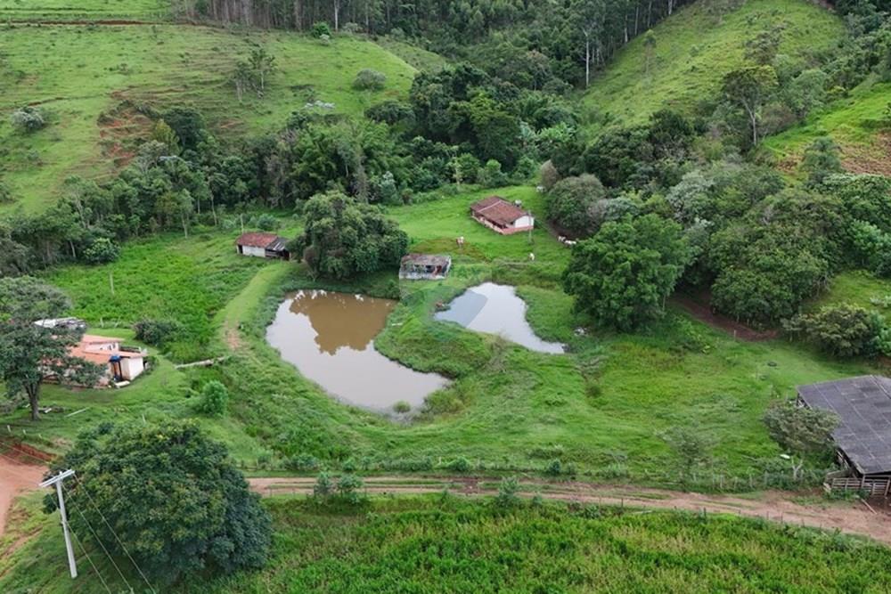 Chácara / Sítio / Fazenda - Venda - Piracaia , São Paulo - dji_fly_20260224_172050_0087_1771962279268_photo.jpg - 691011027-7