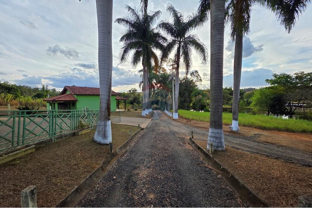 Chácara / Sítio / Fazenda - Venda - Itapira , São Paulo - 20250902_170243.jpg - 690521005-184