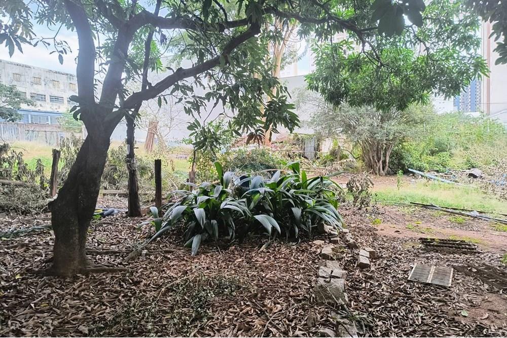 Terreno - Alugar - Campinas , São Paulo - WhatsApp Image 2025-06-30 at 16.57.01 (1).jpeg - 690681149-54