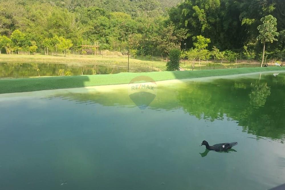 Apartamento - Alugar - Atibaia , São Paulo - WhatsApp Image 2026-03-31 at 10.13.25 (3).jpeg - 690921148-55